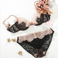 Ultra Thin Lace Mesh Transparent Underwired Bra Set