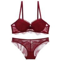 Deep V Eyelash Lace Embroidery Underwired Bra Set