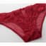 Floral Crochet Lace & Mesh Low Rise Panties - Red