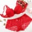 Crochet Lace Cotton Push Up Padded Plunge Lingerie Bra Set - Red