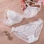 Ultra Thin Lace Bra Sexy Mesh Transparent Bra Set