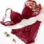 Floral Jacquard Lace Push Up Balconette Bra Set - Wine