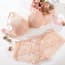 Crochet Lace Cotton Push Up Padded Plunge Lingerie Bra Set - Skin