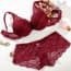 Crochet Lace Cotton Push Up Padded Plunge Lingerie Bra Set - Wine