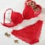 Floral Jacquard Lace Push Up Balconette Bra Set - Red