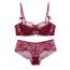 Sheer Floral Lace Underwire Demi Cup Balconette Bra Set - Red