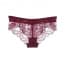Luxury Full Lace Low Waist Panties - Wine