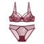 Ultra Thin Sheer Eyelash Lace Strappy Wired Non Padded Bra Set - Red