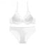 Perfect Fit Padded Push-Up Plunge Bra