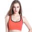 Full Cup Cross Border Workout Back Yoga Vest Bra