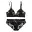 Deep V Triangle Cup Lace Beauty Bra Set
