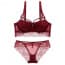 Crochet Floral Lace Strappy Wired Push Up Plunge Bra Set - Red