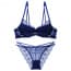 Floral Scallop Lace Wired Padded Push Up Plunge Bra Set - Blue