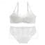 All Over Crochet Lace Non-Padded Underwired Full Cup Lingerie Bra Set - White