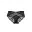 Transparent Lace Floral High Waist Brief - BLACK