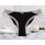 Luxury Cotton Crochet Lace edge Panties - Black