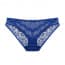 Crochet Floral Lace Mesh Back Panties - Blue