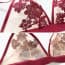 Vintage Floral Embroidery Mesh Lingerie Bra Set - Bra Details