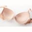 Classic Soft Light Padded Lingerie Bra Set - Bra Details