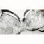 Vintage Floral Ultra-Thin Sheer Lace Multi Way Strappy Lingerie Bra Set