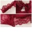 Sheer Lace 3/4 Coverage Underwire Bra & Panties Set - Details