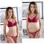 Floral Scallop Lace Wired Padded Push Up Plunge Bra Set - Red