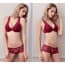 Crochet Lace Cotton Push Up Padded Plunge Lingerie Bra Set - Wine