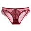 Scallop Crochet Lace Transparent Panty - Red
