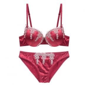 Luxury Embroidery Printing Ultra Thin and Thick Slim Bra Set-Red